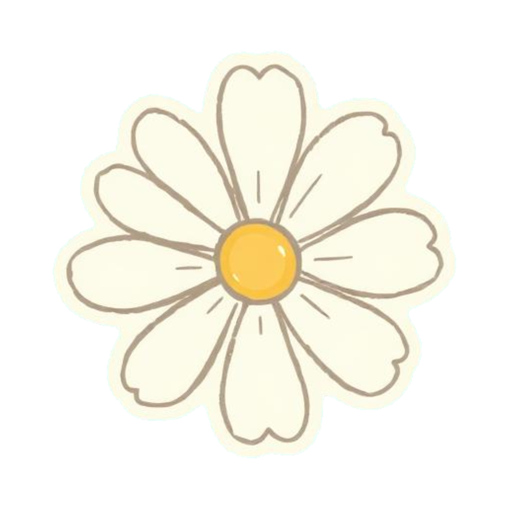 Hair Clips